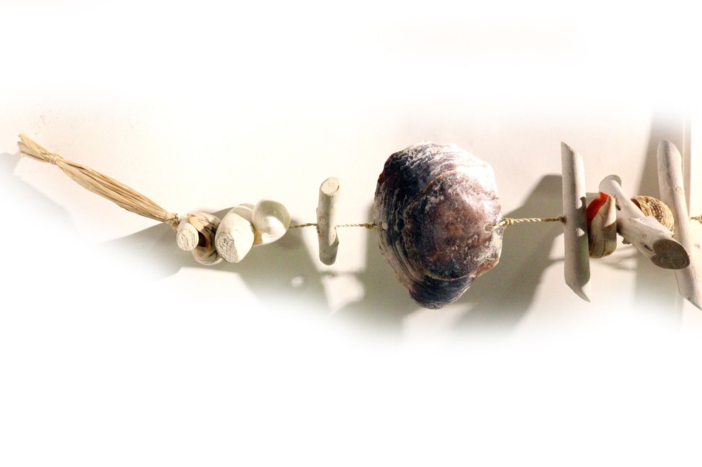 ŠKOLJKE NA ŠPAGI CM 72 