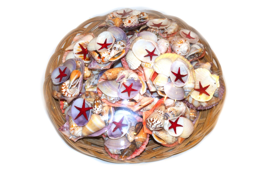 KOŠARA SA ŠKOLJKAMA