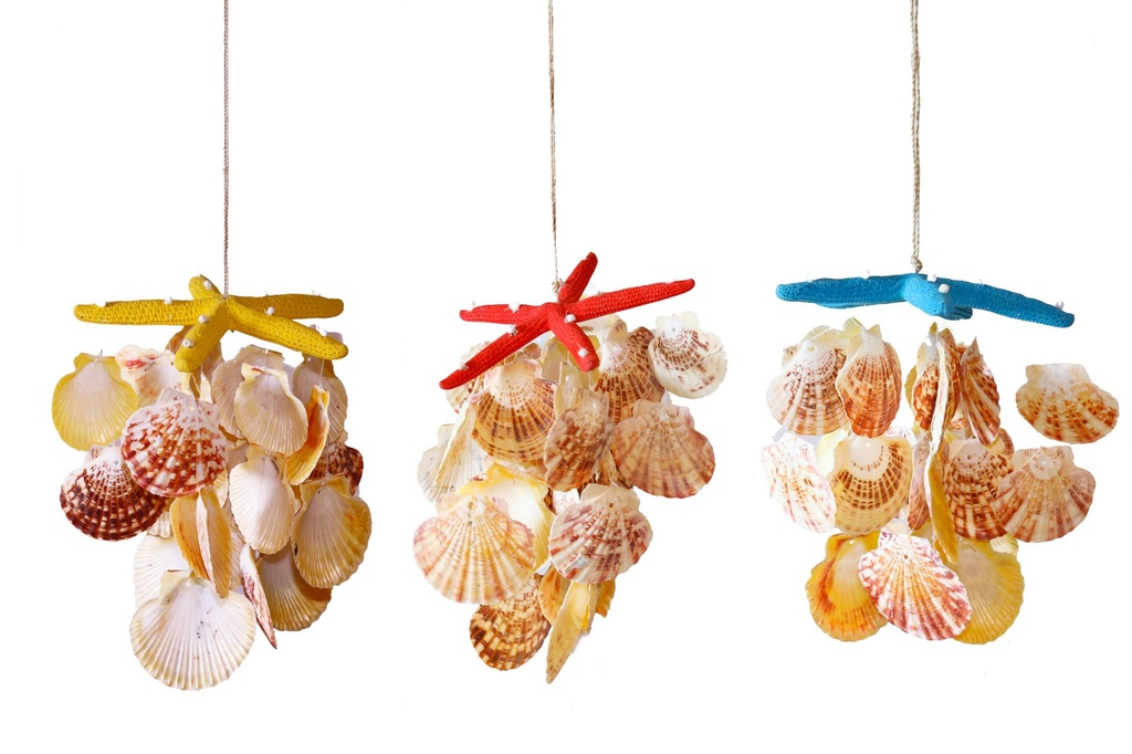 ZVECKALICA SA ŠKOLJKAMA H CM 28