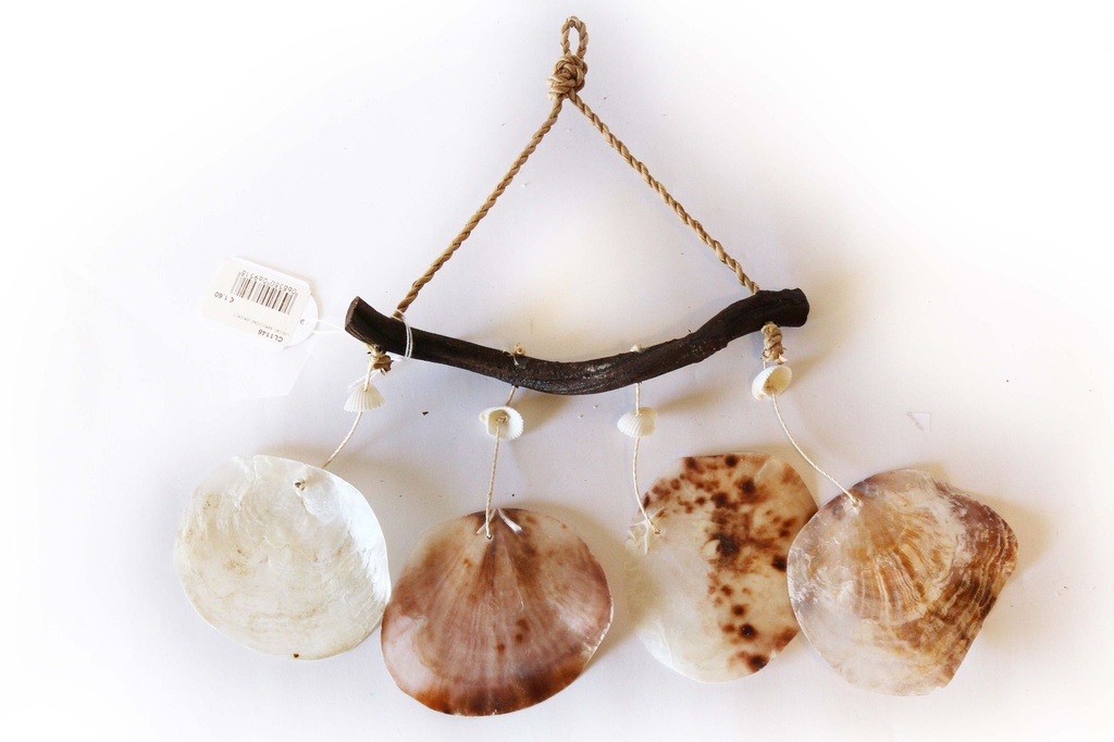 ZVECKALICA SA ŠKOLJKAMA