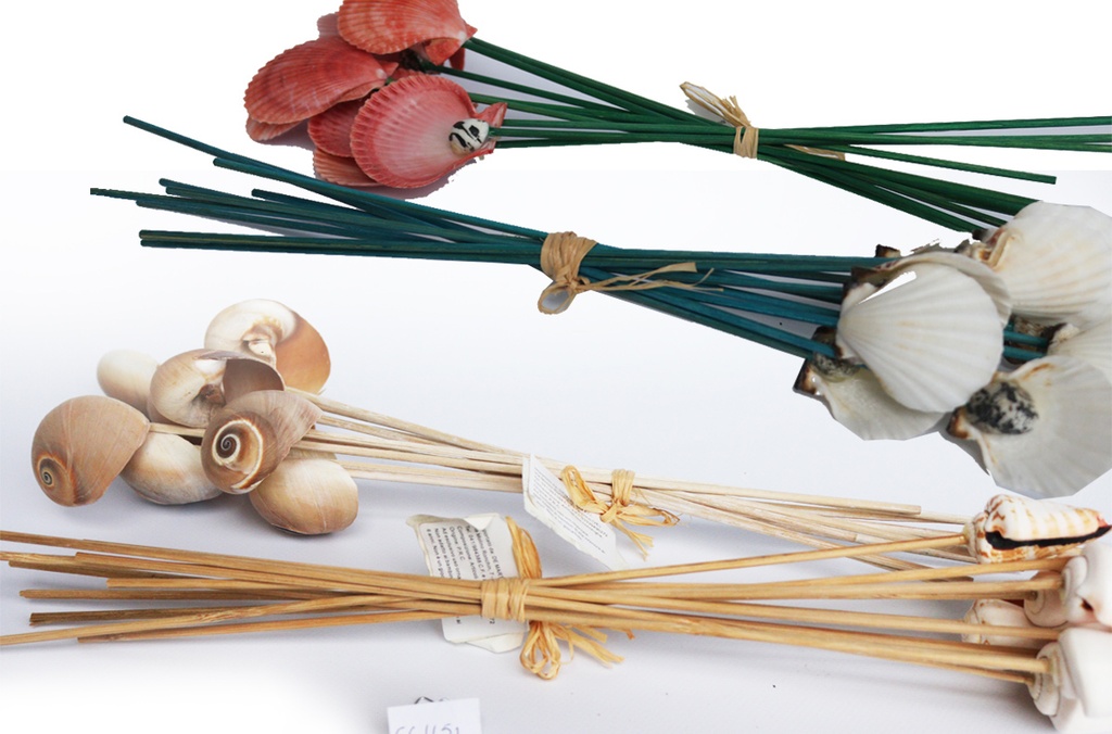 ŠTAPIĆI SA ŠKOLJKAMA  CM 25  