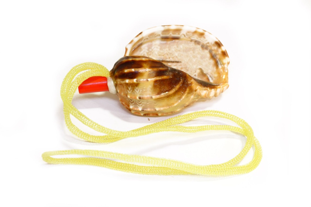 ZVIŽDALJKA OD ŠKOLJKE