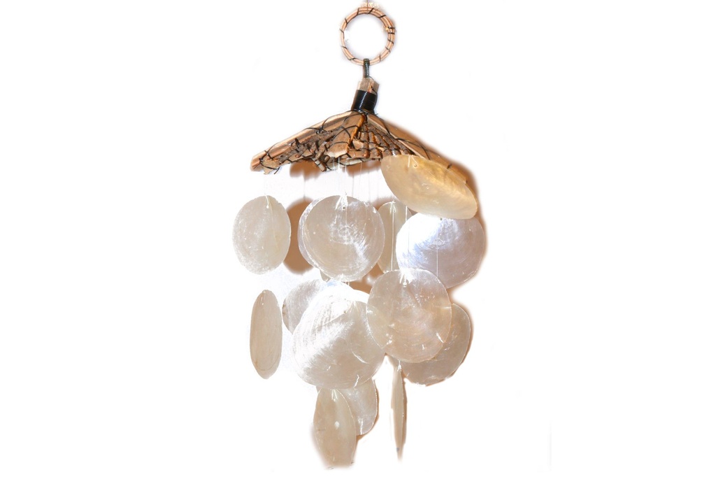 ZVECKALICA SA ŠKOLJKAMA 