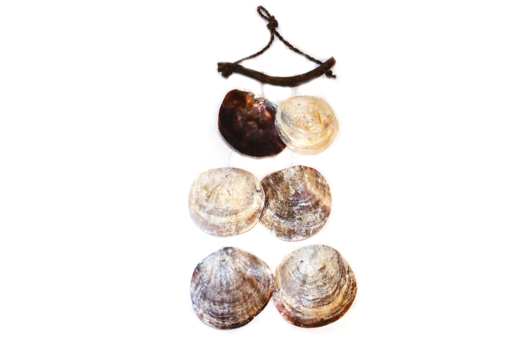 ZVECKALICA SA ŠKOLJKAMA 