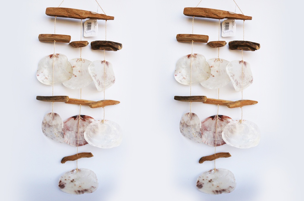 ZVECKALICA SA ŠKOLJKAMA 