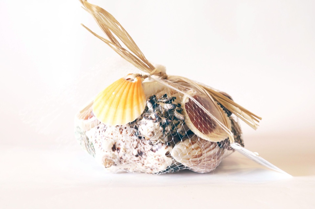 VREĆICA SA ŠKOLJKAMA GR 500 