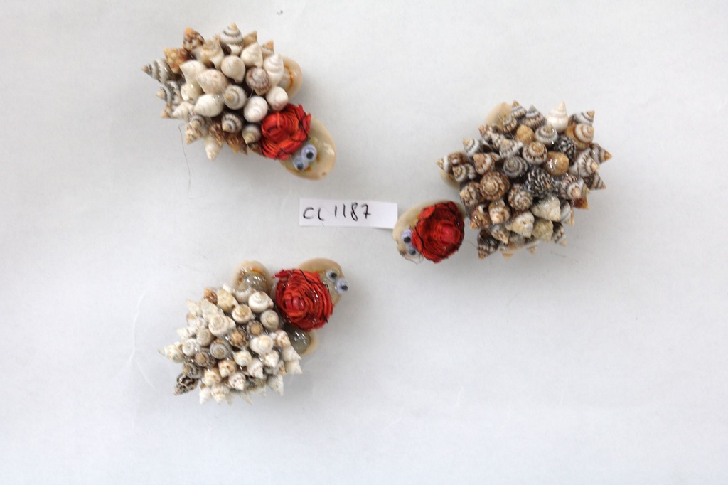 KORNJAČA OD ŠKOLJKI MAGNET