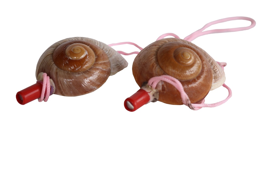 ZVIŽDALJKA OD ŠKOLJKE