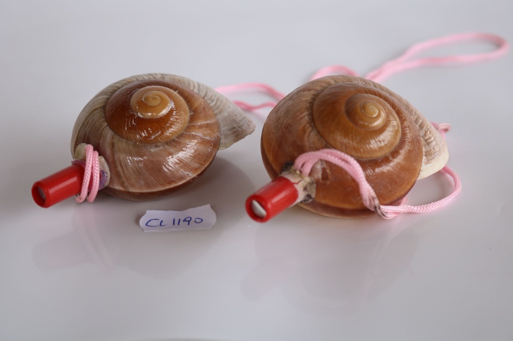 ZVIŽDALJKA OD ŠKOLJKE