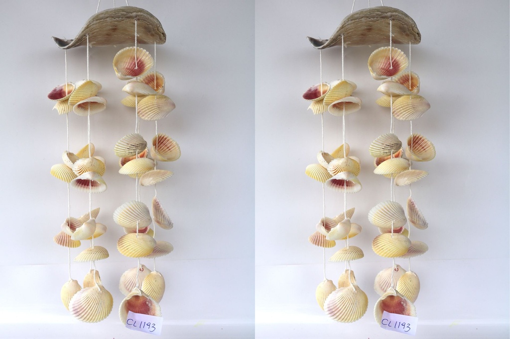 ZVECKALICA SA ŠKOLJKAMA 