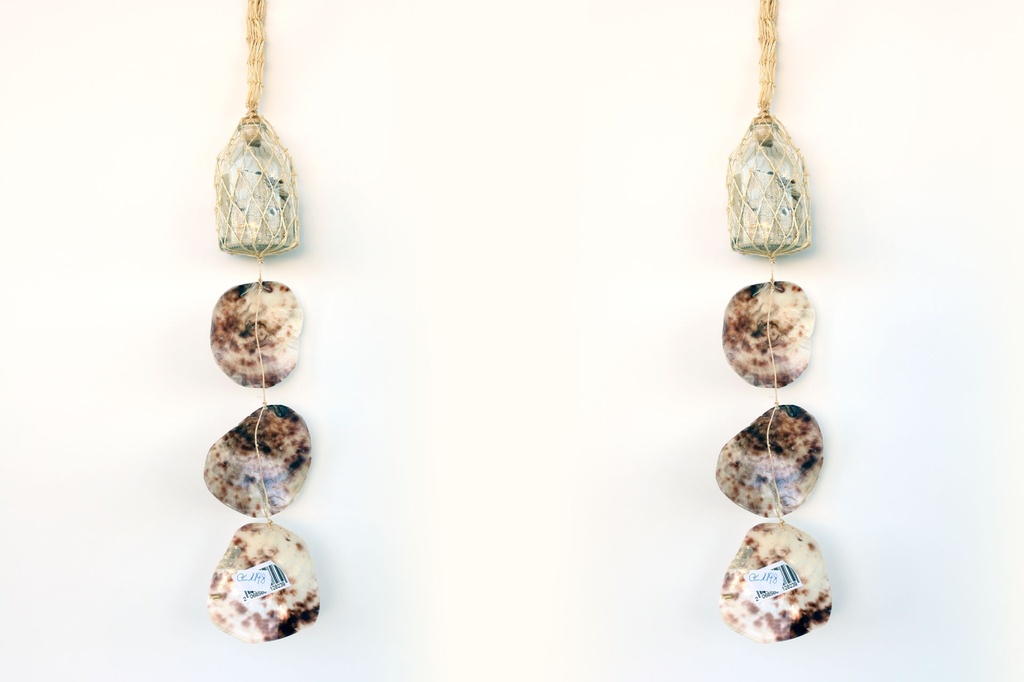 ZVECKALICA SA ŠKOLJKAMA 