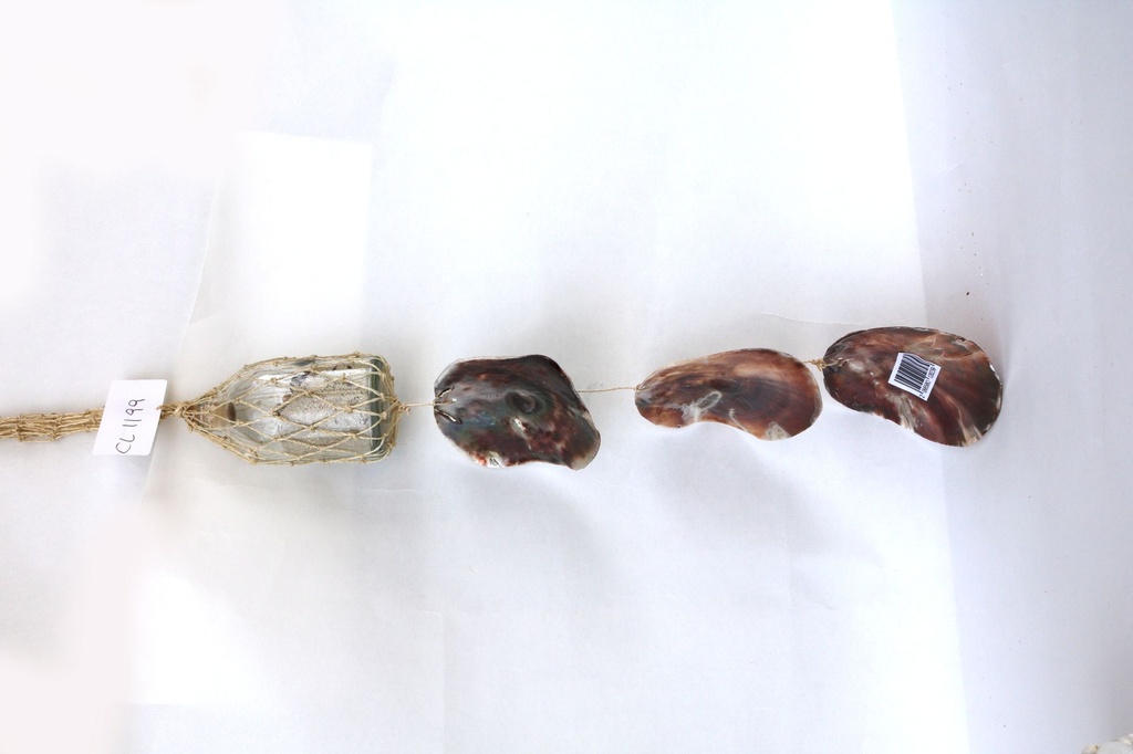 ZVECKALICA SA ŠKOLJKAMA 