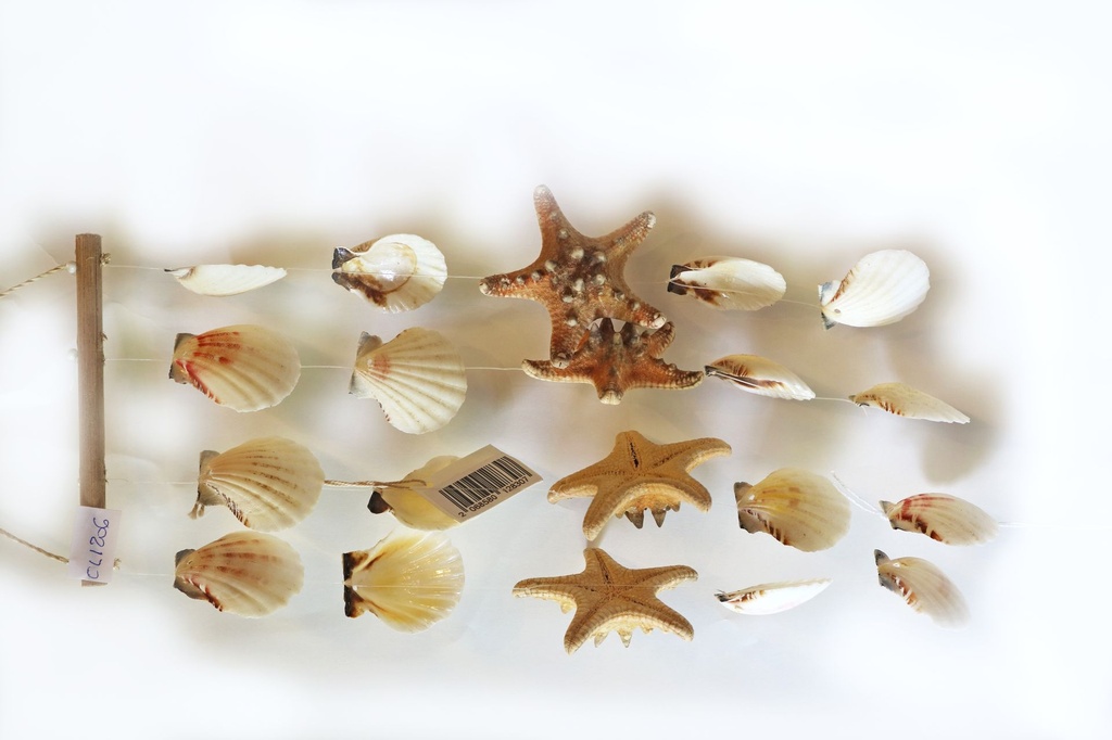 ZVECKALICA SA ŠKOLJKAMA 