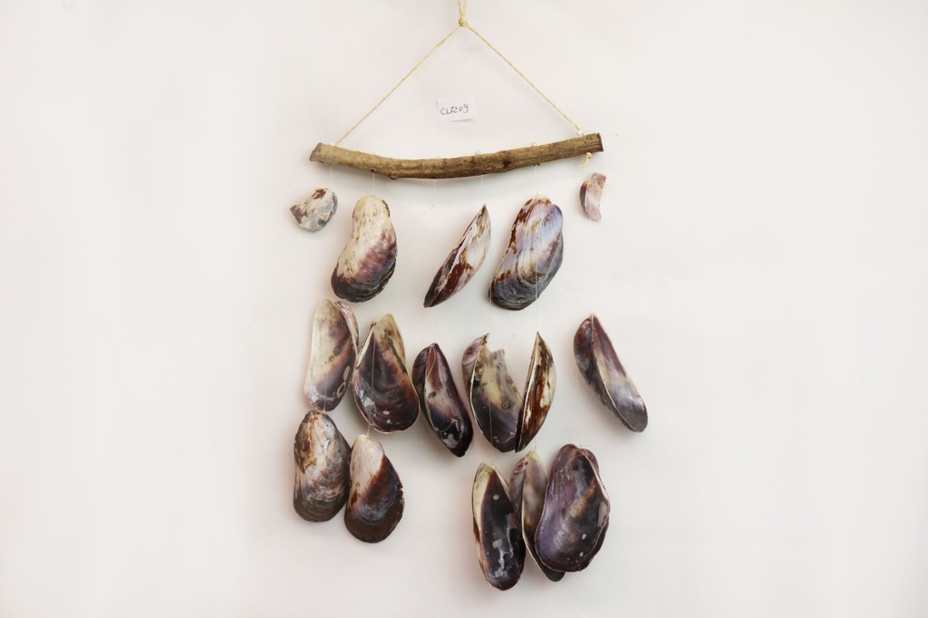 ZVECKALICA SA ŠKOLJKAMA 