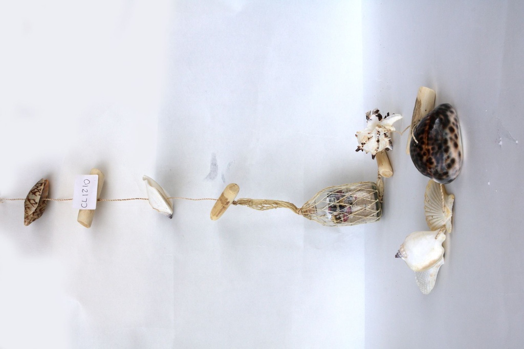 BOCA SA ŠKOLJKAMA NA ŠPAGI