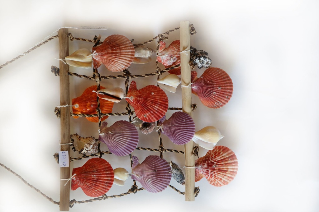 MREŽA SA ŠKOLJKAMA