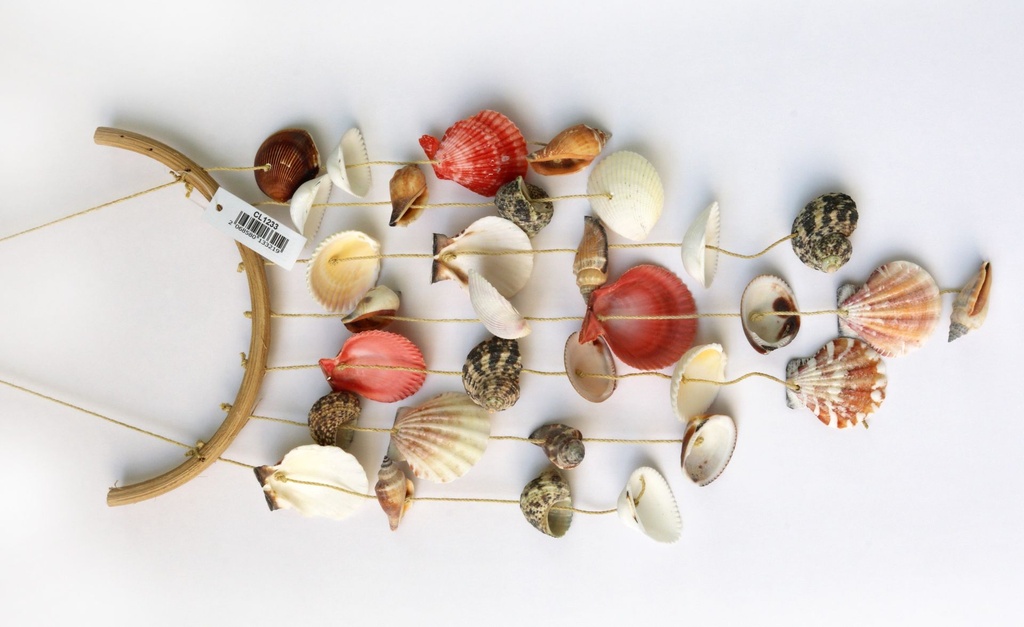 ZVECKALICA SA ŠKOLJKAMA