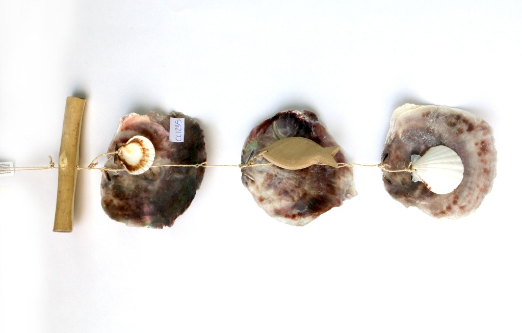 ZVECKALICA SA ŠKOLJKAMA