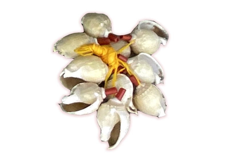 ZVIŽDALJKA OD ŠKOLJKE