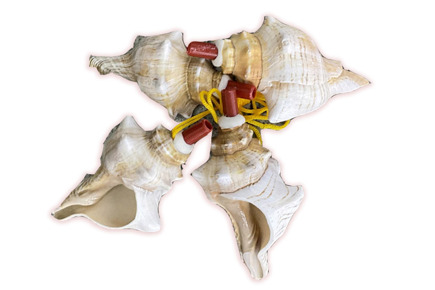 ZVIŽDALJKA OD ŠKOLJKE