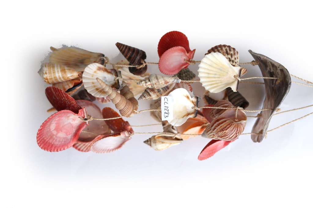 ZVECKALICA SA ŠKOLJKAMA 46*16 