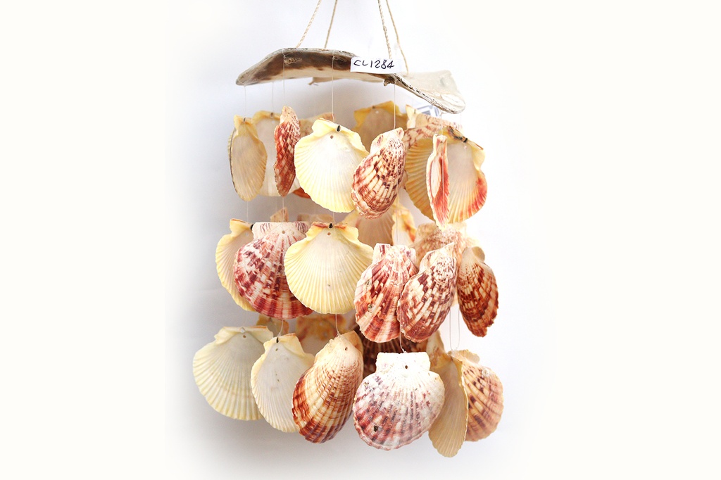 ZVECKALICA SA ŠKOLJKAMA  CM 25*17 