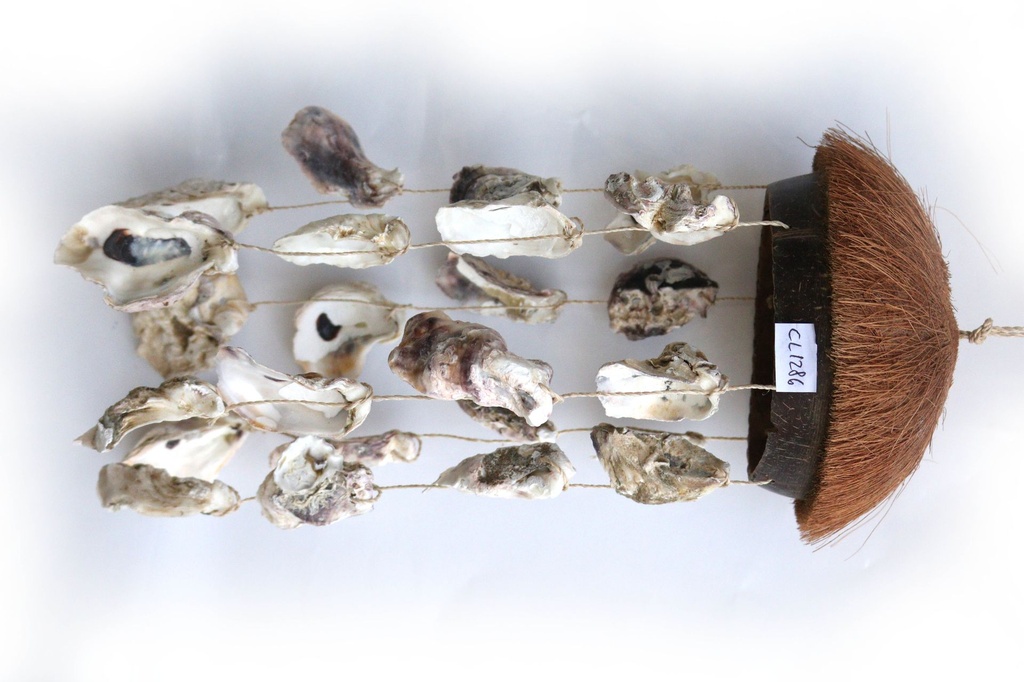 ZVECKALICA SA ŠKOLJKAMA  CM 40*16 