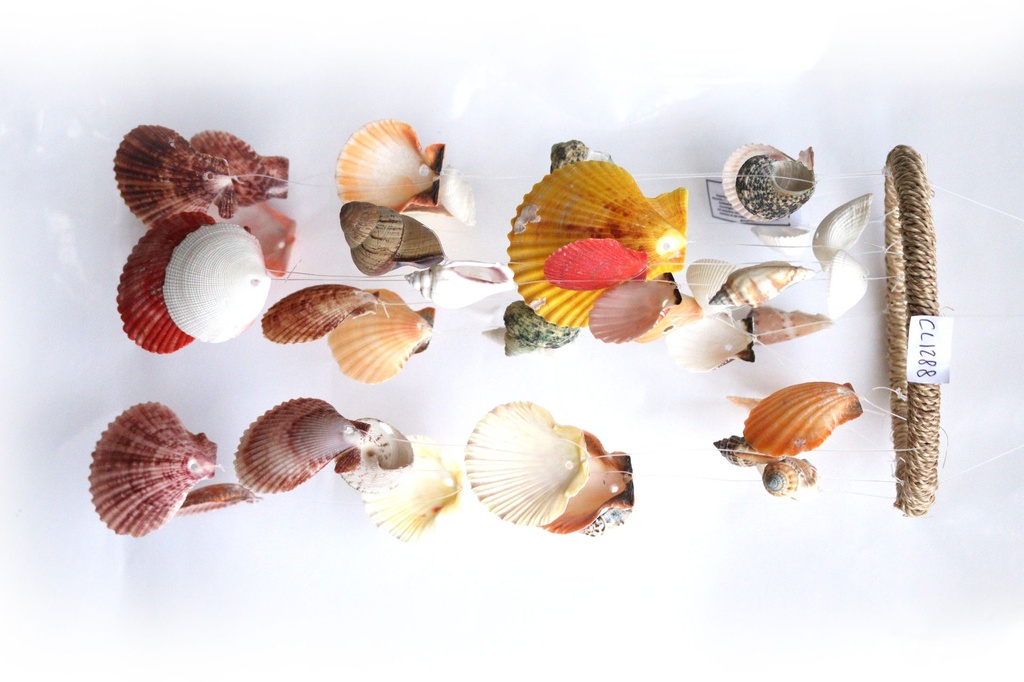 ZVECKALICA SA ŠKOLJKAMA  CM 34*15 