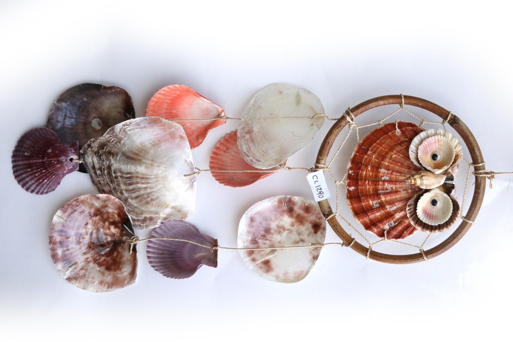 ZVECKALICA SA ŠKOLJKAMA  CM35*18 