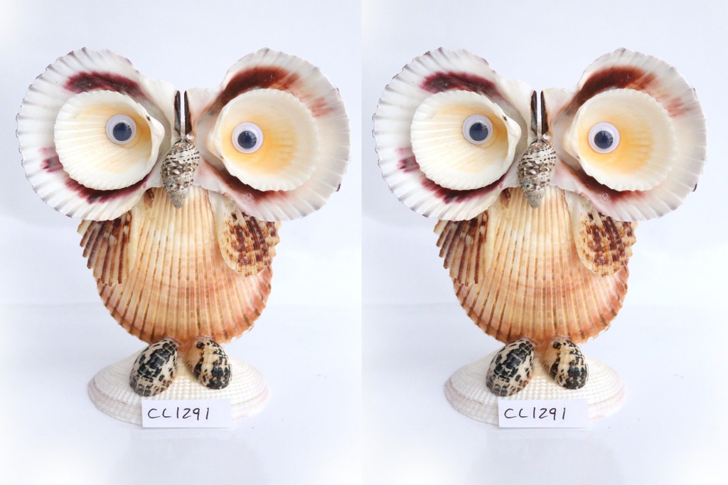 SOVA OD ŠKOLJKI CM 12.5*11 