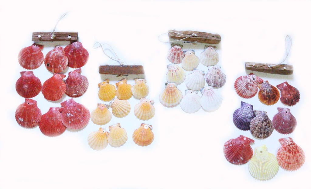 ZVECKALICA SA ŠKOLJKAMA  CM 30 - 4 MODELA