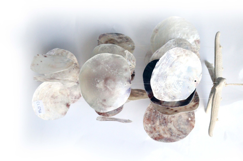 ZVECKALICA SA ŠKOLJKAMA  CM  40 