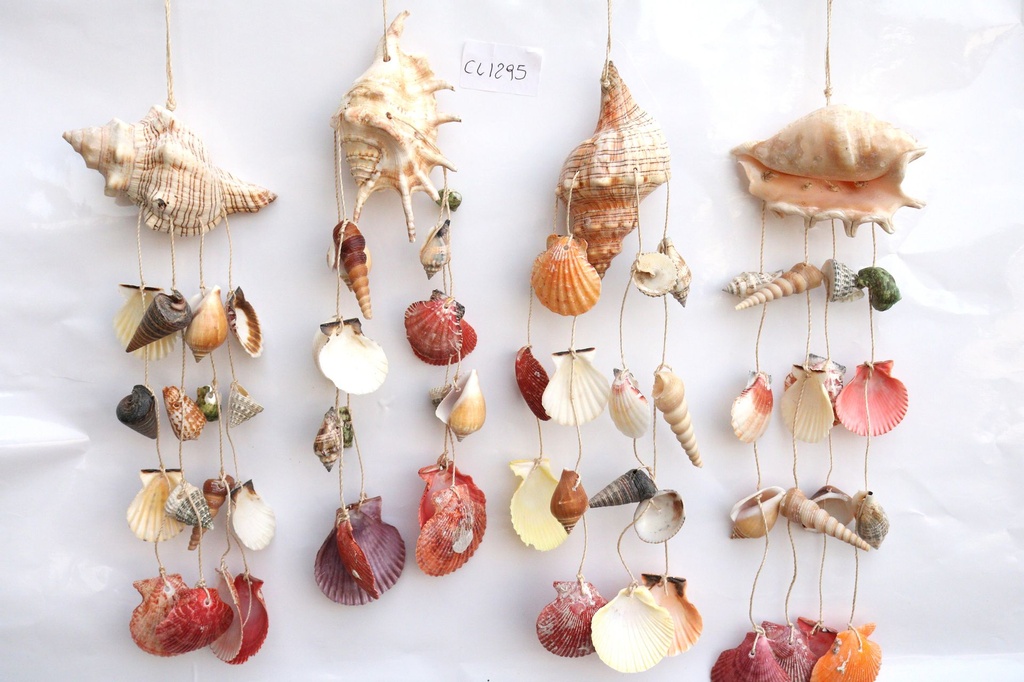 ZVECKALICA SA ŠKOLJKAMA  CM 40 