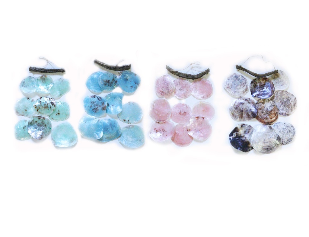 ZVECKALICA SA ŠKOLJKAMA  CM 30 