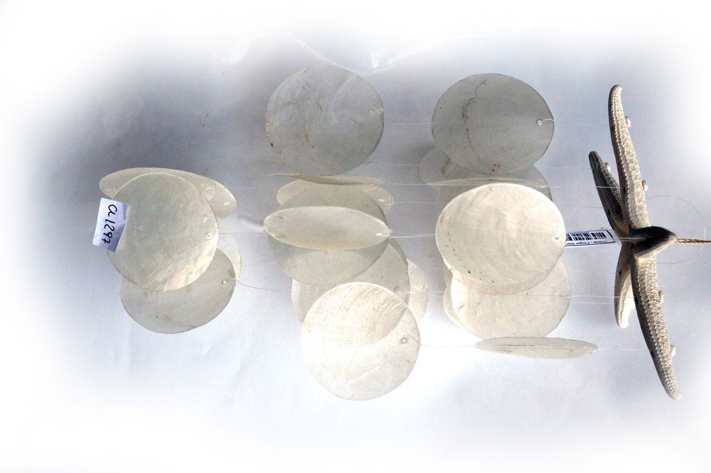 ZVECKALICA SA ŠKOLJKAMA  CM 30 