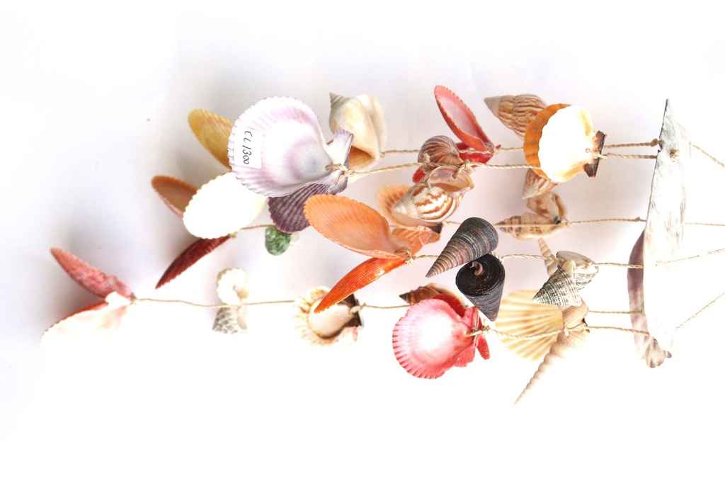 ZVECKALICA SA ŠKOLJKAMA  CM 35*17 