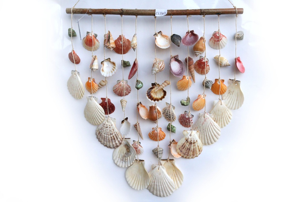 SCACCIAP. LEGNO E CONCH ASS CM 30*65 