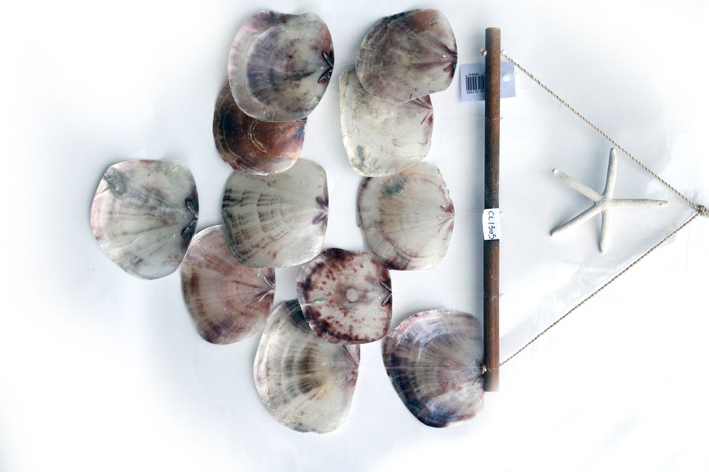 ZVECKALICA SA ŠKOLJKAMA  CM 58 