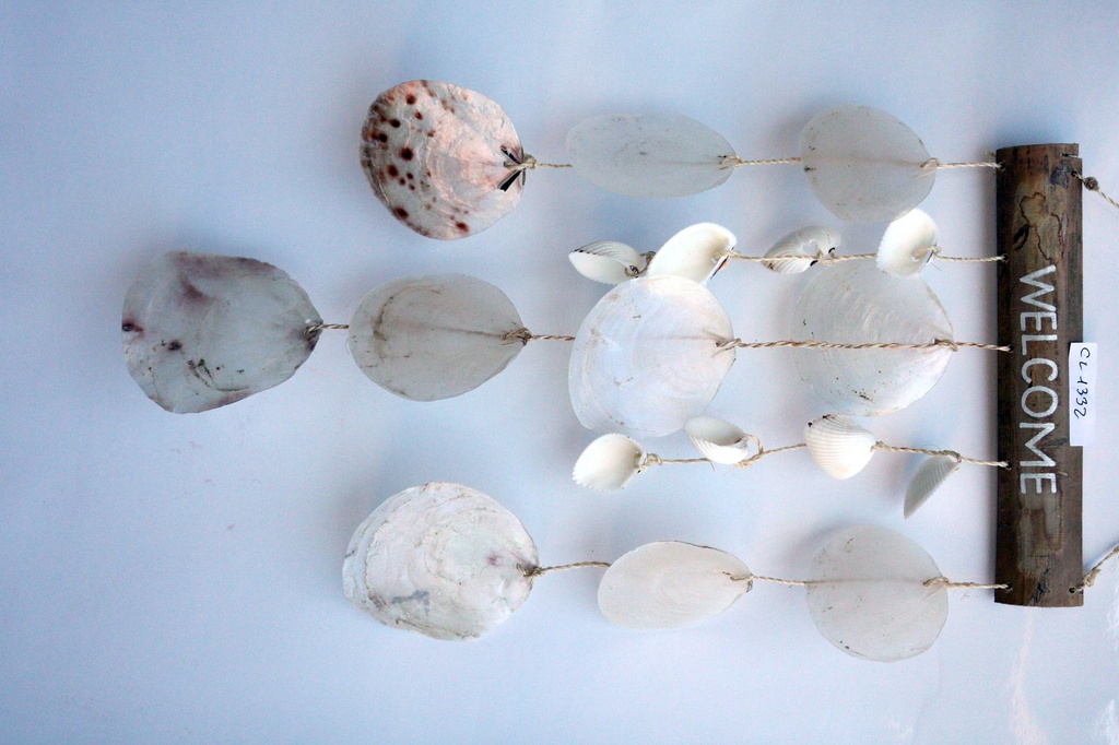 ZVECKALICA SA ŠKOLJKAMA H 50 