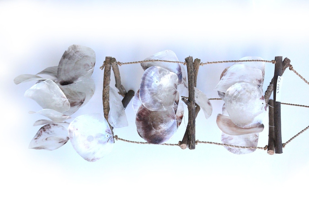 ZVECKALICA SA ŠKOLJKAMA H 60 CM 