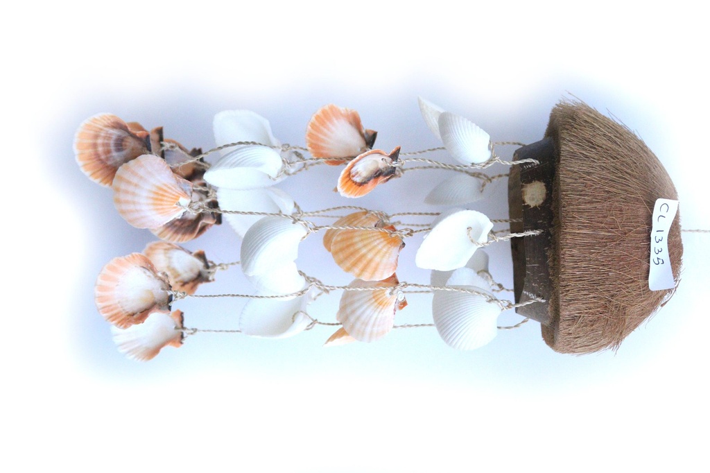 ZVECKALICA SA ŠKOLJKAMA H 34 CM 