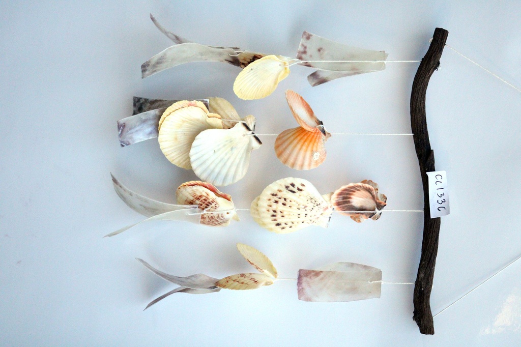 ZVECKALICA SA ŠKOLJKAMA H 33 