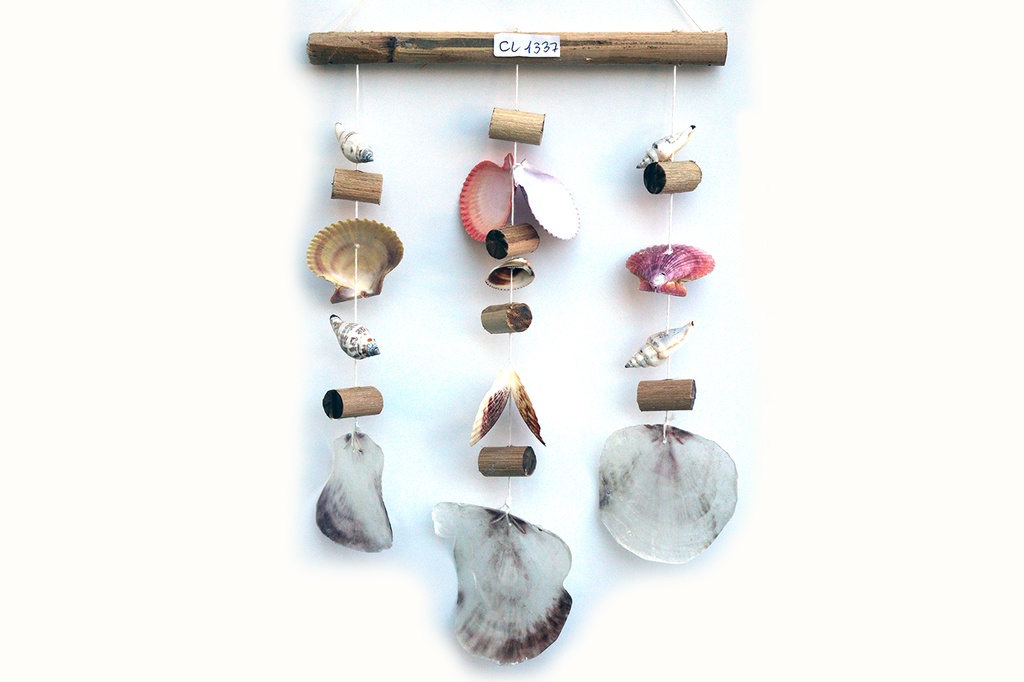 SCACCIAP BAMBOO CON LEGNI/PECTEN E PLACUNA H 40 