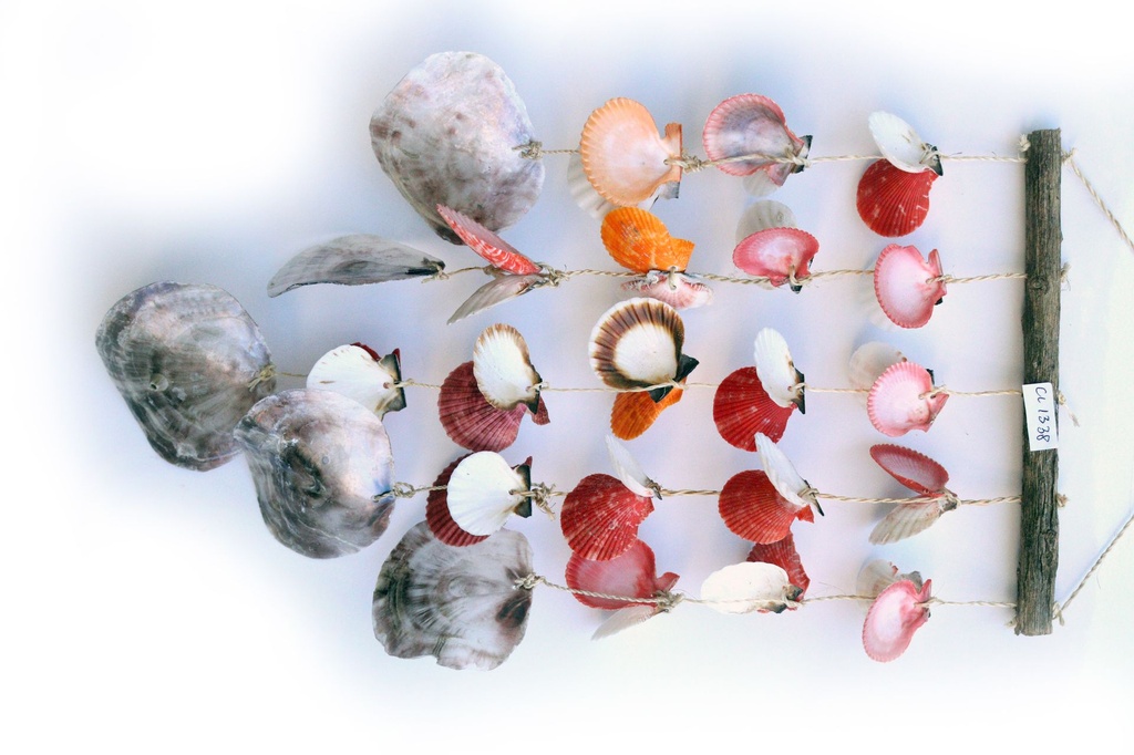 ZVECKALICA SA ŠKOLJKAMA H 50 CM 