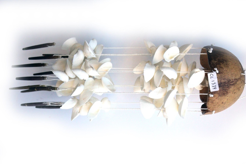 ZVECKALICA SA ŠKOLJKAMA H 47 CM 