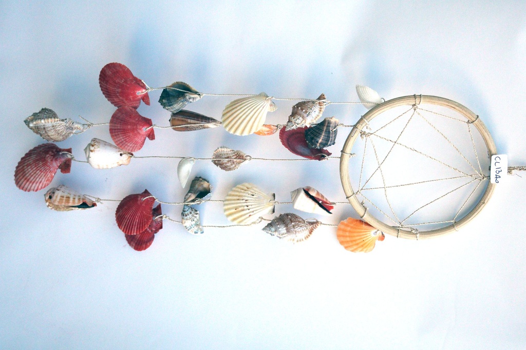 ZVECKALICA SA ŠKOLJKAMA 50 CM 