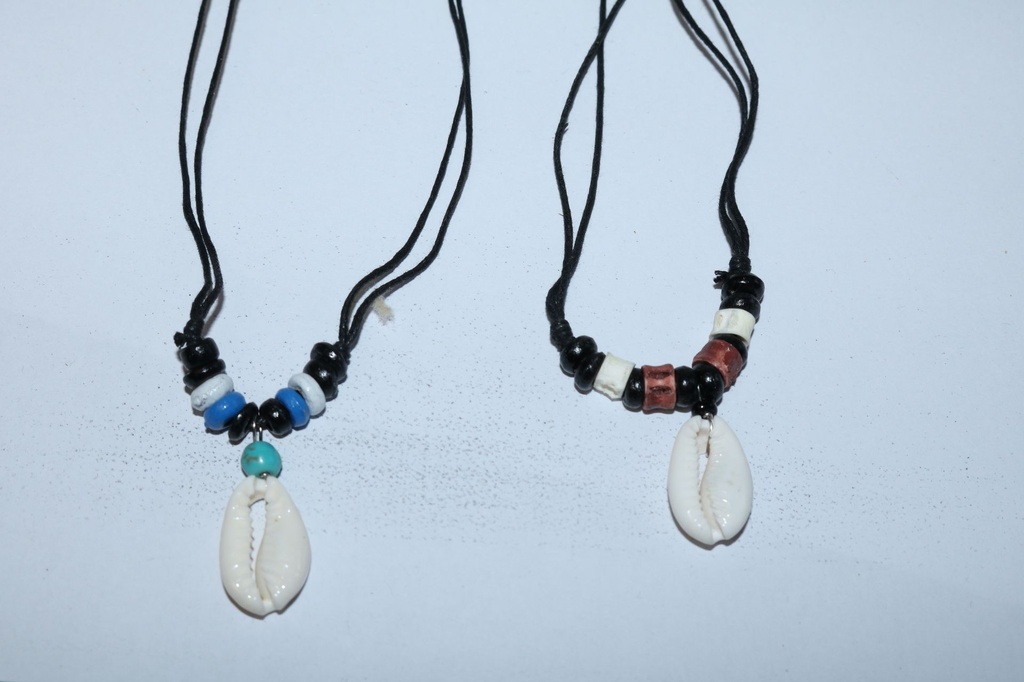 OGRLICA SA ŠKOLJKOM