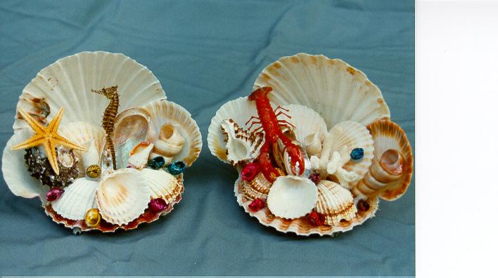 SUVENIR OD ŠKOLJKI cm 14 