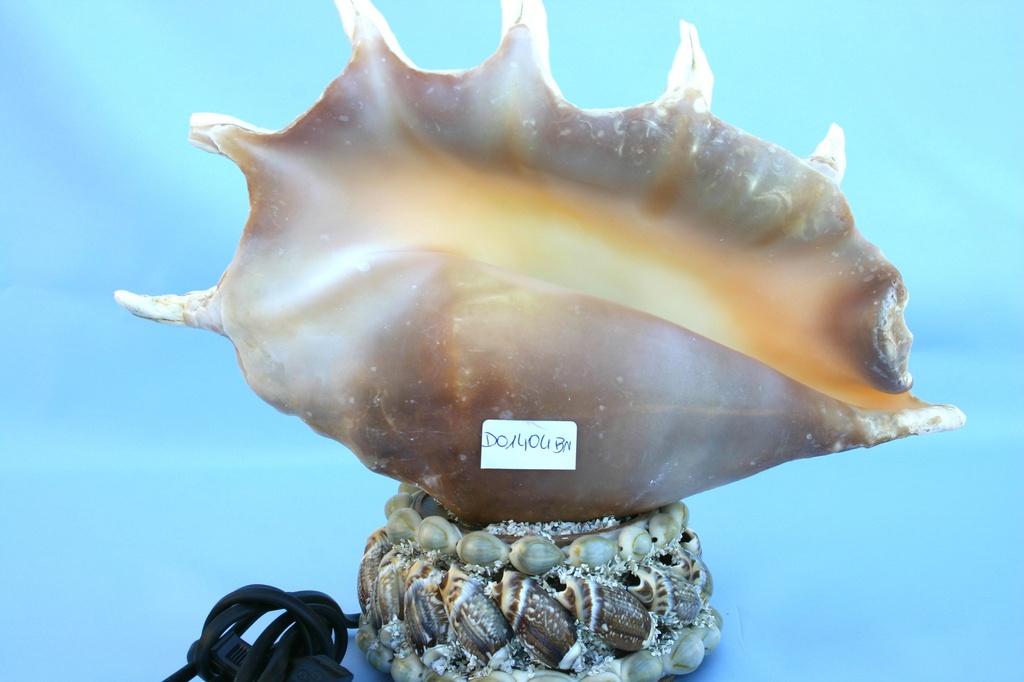 ŠKOLJKA SA SVJETLOM CM 26*29 