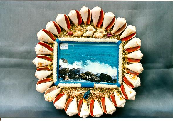 PIATTO OD ŠKOLJKI  DIAM 25 